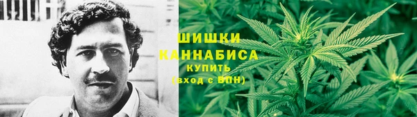 дживик Осинники