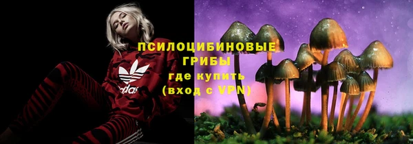 эйфоретик Осташков