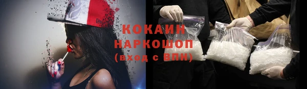 мдпв Няндома