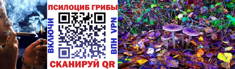 Псилоцибиновые грибы Psilocybine cubensis  где продают наркотики  Красноперекопск 