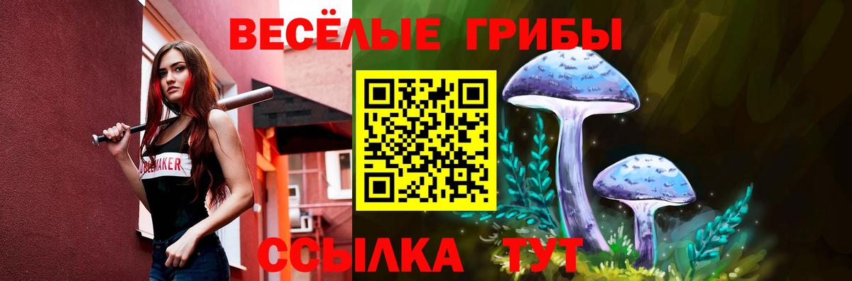 Псилоцибиновые грибы GOLDEN TEACHER Красноперекопск